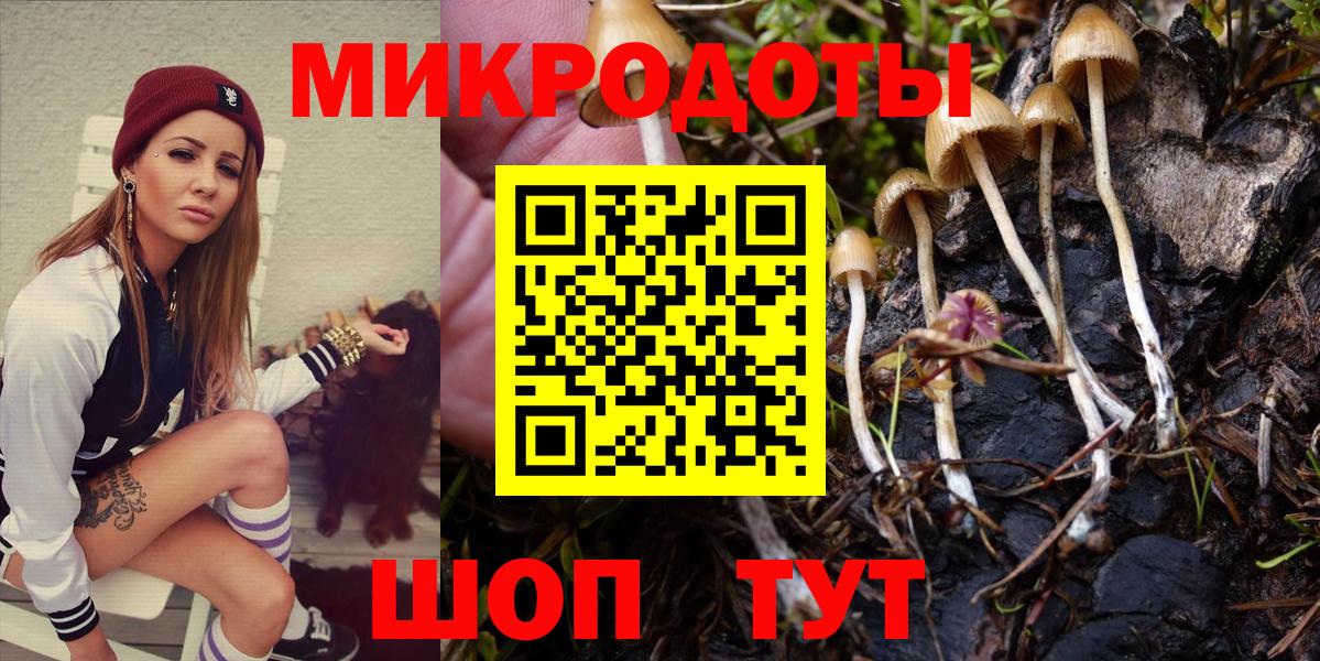 Псилоцибиновые грибы GOLDEN TEACHER  Вход с VPN  даркнет сайт  Азнакаево 